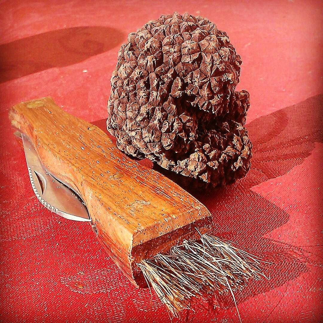 @Regrann from @italosorlini – Tuber brumale, il tartufo di vallecamonica. #tuberbrumale #vallecamonica #tartufo #food #trifola #gurmet #gourmet #italianfood #camonicavalley #truffles #truffle #Regrann #valledeisegni #Valcamonica #foodpic #foodgasm #foodpics #foodies #foodie #foodporn #lombardia #ig_lombardia #brescia #ig_brescia #natura #naturalovers