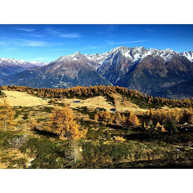 CONTEST AUTUNNO NEL PARCO DELL’ ADAMELLO @Regrann from @madchester86 – Autunno #autunnoparcoadamello #salitaalpiztri #vallecamonica #adamello #parcoadamello #naturalpark #panorama #autumn #autunno #herbst #trees #lake #montagna #mountains #nature #instanature #outdoor #trekking #hiking #sky #clouds #instanature #naturephotography #naturelovers #photooftheday #sunnyday #tbt #sun