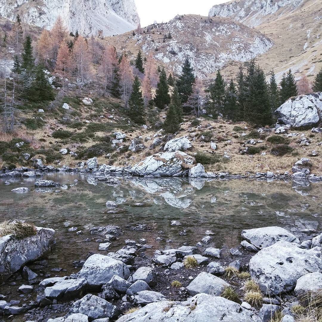 Paraiso du mundu! #vallecamonica #laghetto #camminata #rifugio #mountains #lake