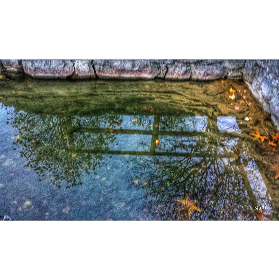 Riflessi Lake Endine #ig_worldclub #ig_italia #ig_europe #vivobg_36 #vivobrescia #vivolombardia #vivoitalia #volgoitalia #volgolombardia#vivobergamo #volgoitalia#autumncolors #volgobergamo#instaamici #igersmood #bestitaliapics #bestlombardiapics #italialaghi #ig_great_shots #top_italia_photo #top_lombardia_photo#exclusive_reflection #loves_united_lombardia #italia_bestsunset #Great_Captures_Italia #hdr_captures #igersitalia #loves_lombardia #loves_bergamo #vivobestsky#vallecamonica
