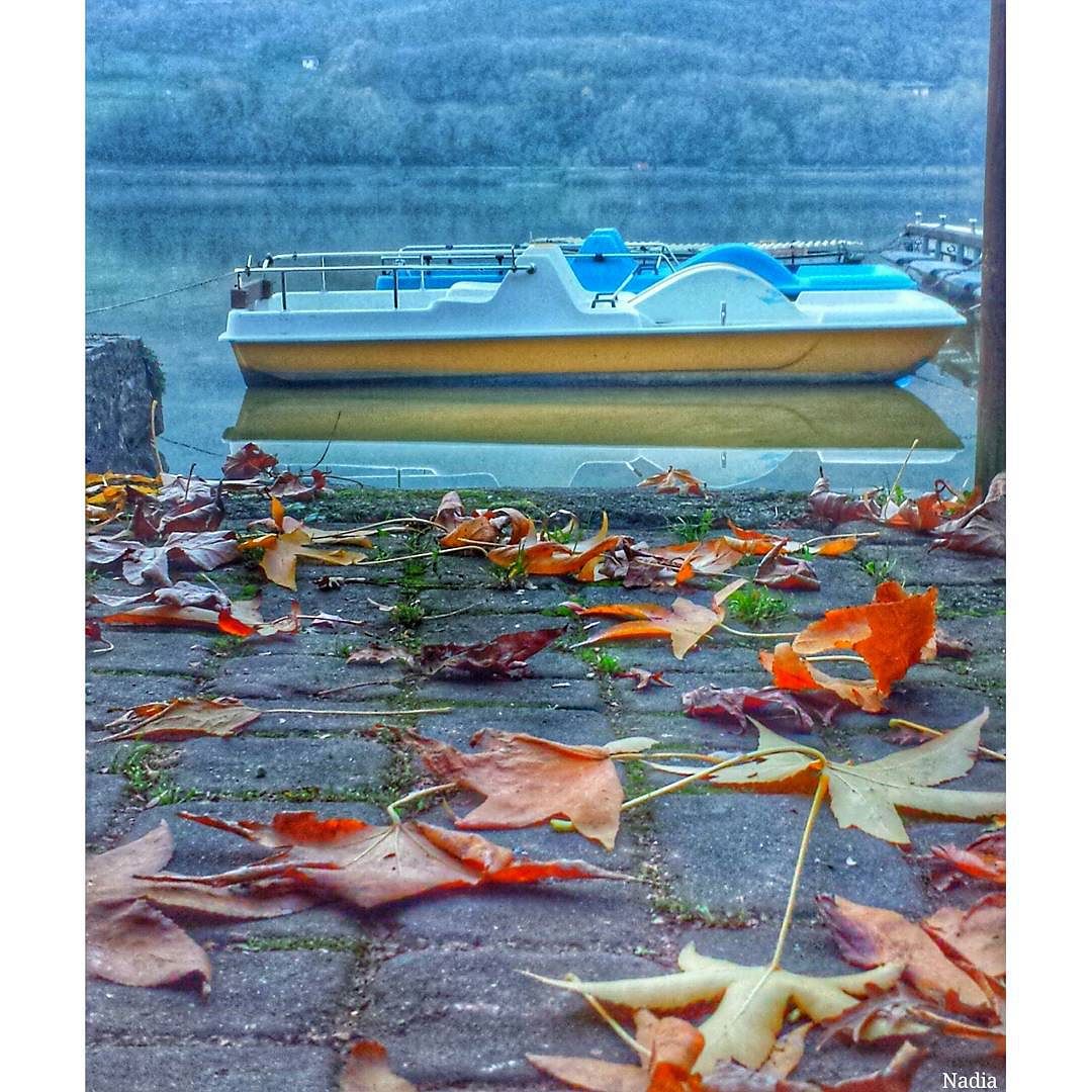 Lago di Endine#vivobg_36 #Great_Captures_Nature #vivolombardia #vivoitalia #volgoitalia #volgolombardia#vivobergamo #volgoitalia#autumncolors #volgobergamo#instaamici #igersmood #bestitaliapics #bestlombardiapics #italialaghi #ig_great_shots #top_italia_photo #top_lombardia_photo#exclusive_reflection #loves_united_lombardia #italia_bestsunset #Great_Captures_Italia #hdr_captures #igersitalia #loves_lombardia #loves_bergamo #vivobestsky#vallecamonica