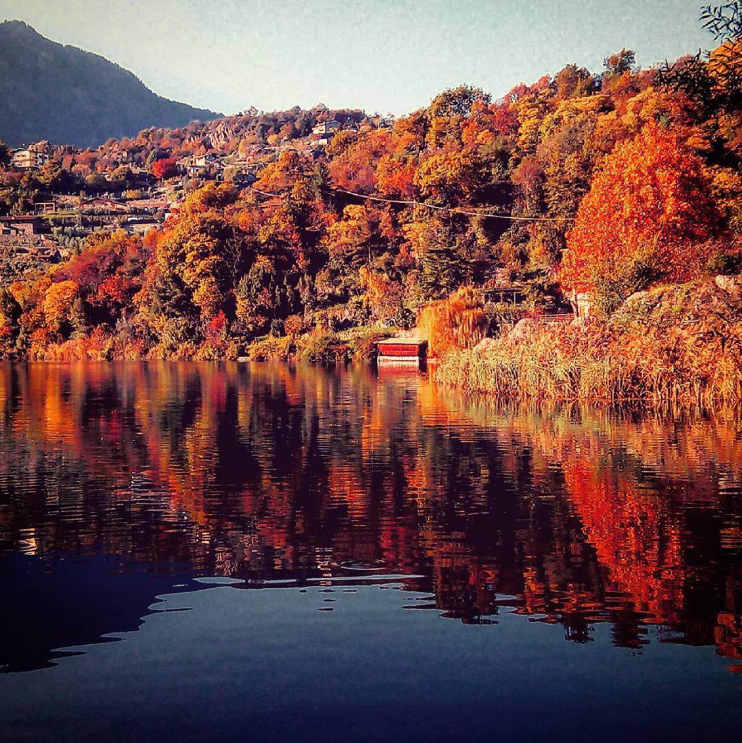 #landscape #autumn #autumn #october #ottobre #november #novembre #vallecamonica