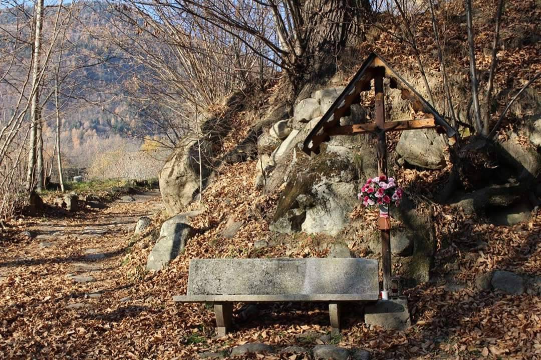 #italy_photolovers #italy_emotion #click_everyday #heart_imprint #welove_photography #lovenature #myparadise #amatuers #amatuerphotography #amatuerphotographer #photogrid #photo #photography #photographer #igw_parts #igdaily #black_white72 #nature #autumndays #herbstliebe #herbsttag #herbst #autumn #vallecamonica #edolo