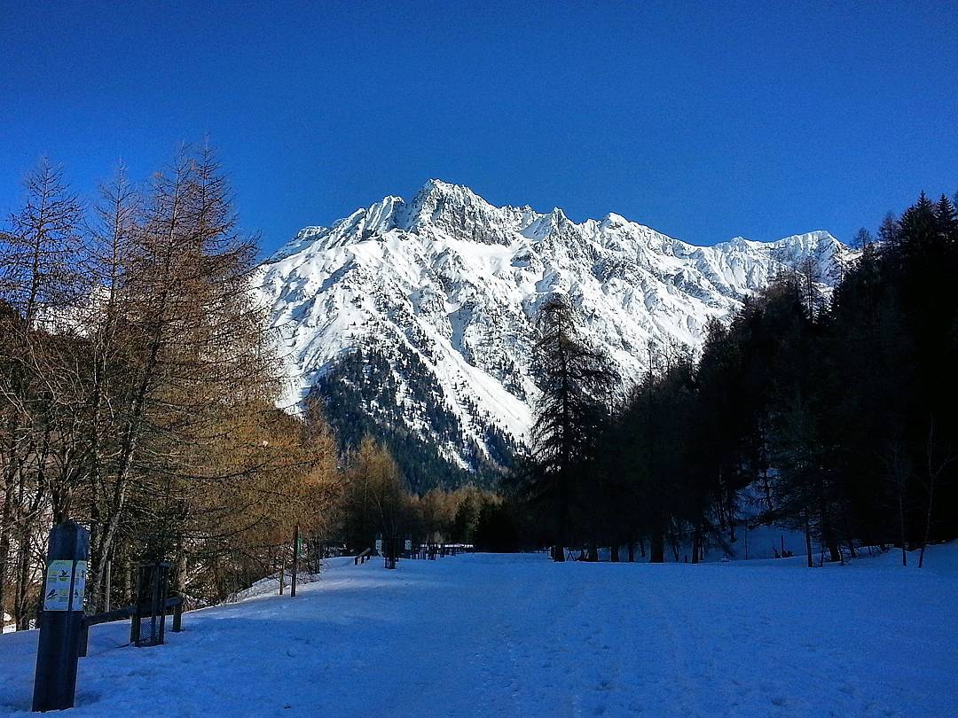 Val Sozzine-Ponte di Legno- #vivolombardia #vivo_natura #italia_landscape #volgobrescia #vallecamonica #vivalavallecamonica #pocket_italy #loves_nature #loves_landscape #loves_united_lombardia #loves_lombardia #ishot_italia #passioneclick #igw_italia #igw_skyline #total_italy #volgolombardia #italy_photolovers #ita_super_pics #lombardia_super_pics #top_lombardia_photo #visititalia #italia_da_scoprire #bestlombardiapics #ig_lombardia #ig_brescia #top_italia_photo #volgoitalia #loves_united_italia #exclusive_italy