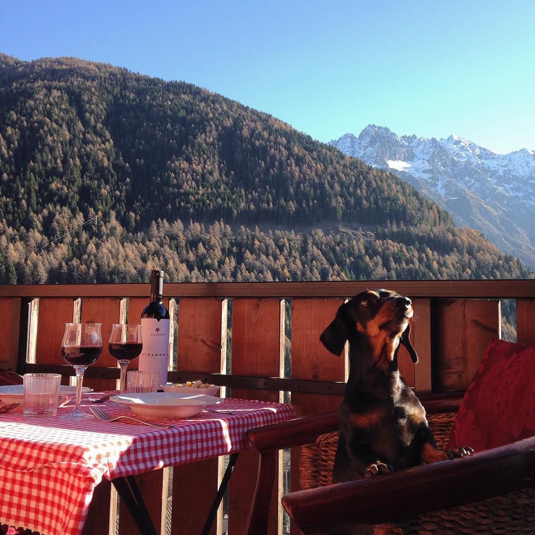 7 Dicembre….e noi si pranza sul balcone! Have a nice day!