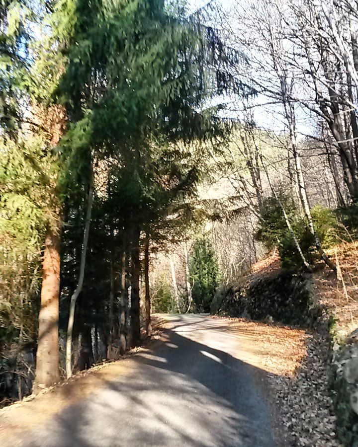 #montagna#paesaggi#italy #vallecamonica#brerzodemo #perscorso#nei#boschi#nella#natura #ghiaccio#e#neve
