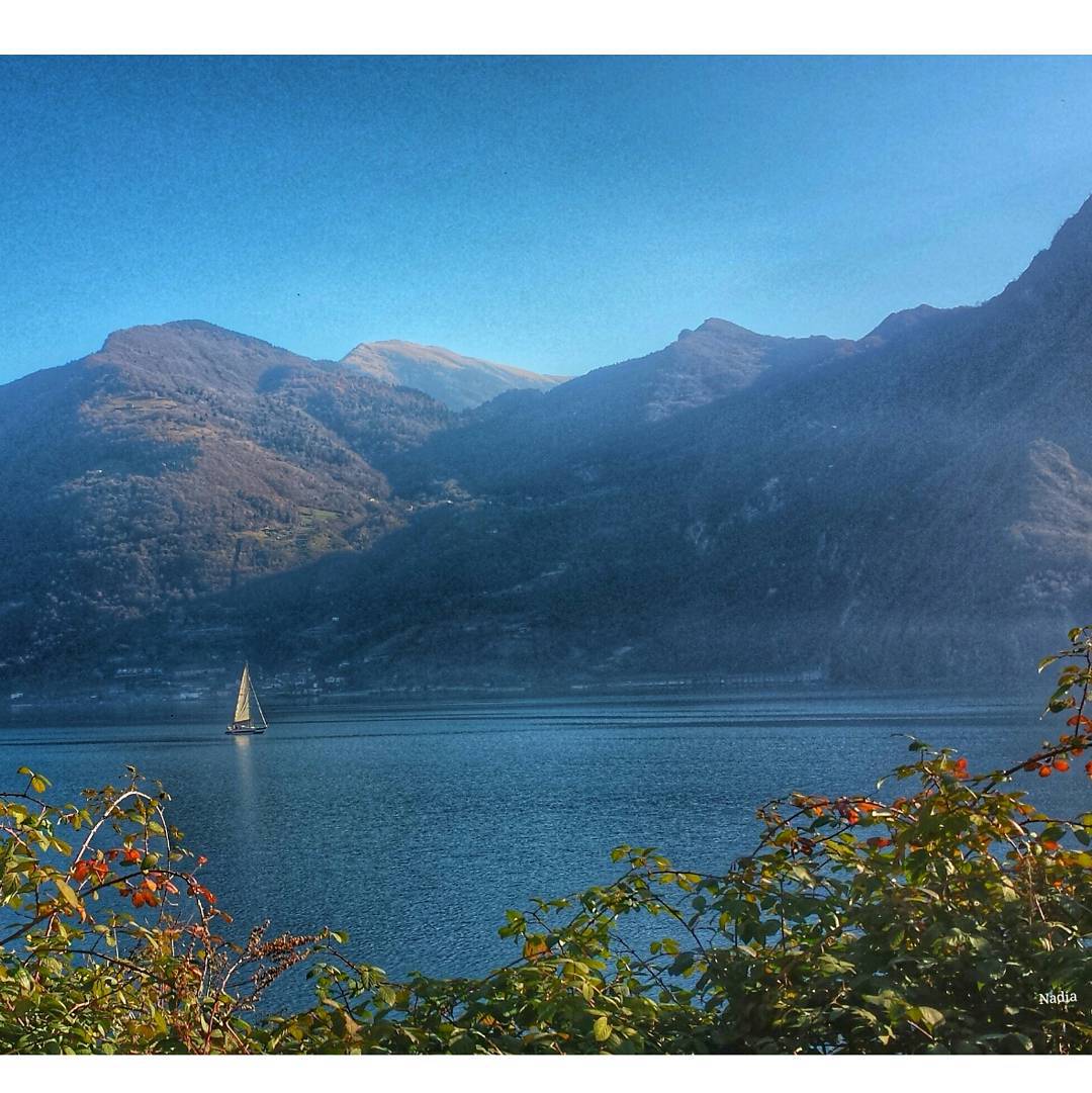 Gre’ Solto Collina#iseolake #ig_worldclub #inLombardia #ig_europe # #vivolombardia #visititalia #natura_love #volgolombardia#vivobergamo #volgobrescia #volgobergamo#instaamici #igersmood #bestitaliapics #bestlombardiapics #italialaghi #ig_great_shots #top_italia_photo #top_lombardia_photo#exclusive_mobile#loves_united_lombardia #lory_alpha #Great_Captures_Italia #hdr_captures #igersitalia #loves_lombardia #lombardia_super_pics#kings_birds #vallecamonica #visitlakeiseo