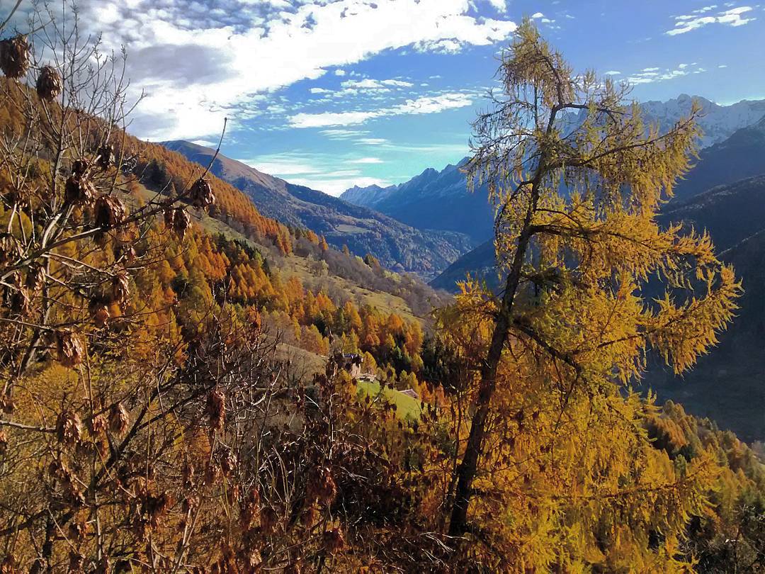 07/11/15 #canè #temù #valcanè #vallecamonica #valcamonica #pontedilegno #autunno #autumn
