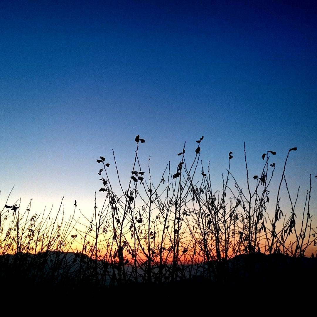 Every new #beginning comes from some other beginning’s #end… #Italy #Pisogne #grignaghe #sunset #panorama #environment #photography #Sony #sky #sun #valcamonica #lagodiseo #camuninoncomuni #valledeisegni #vallecamonica #Italia