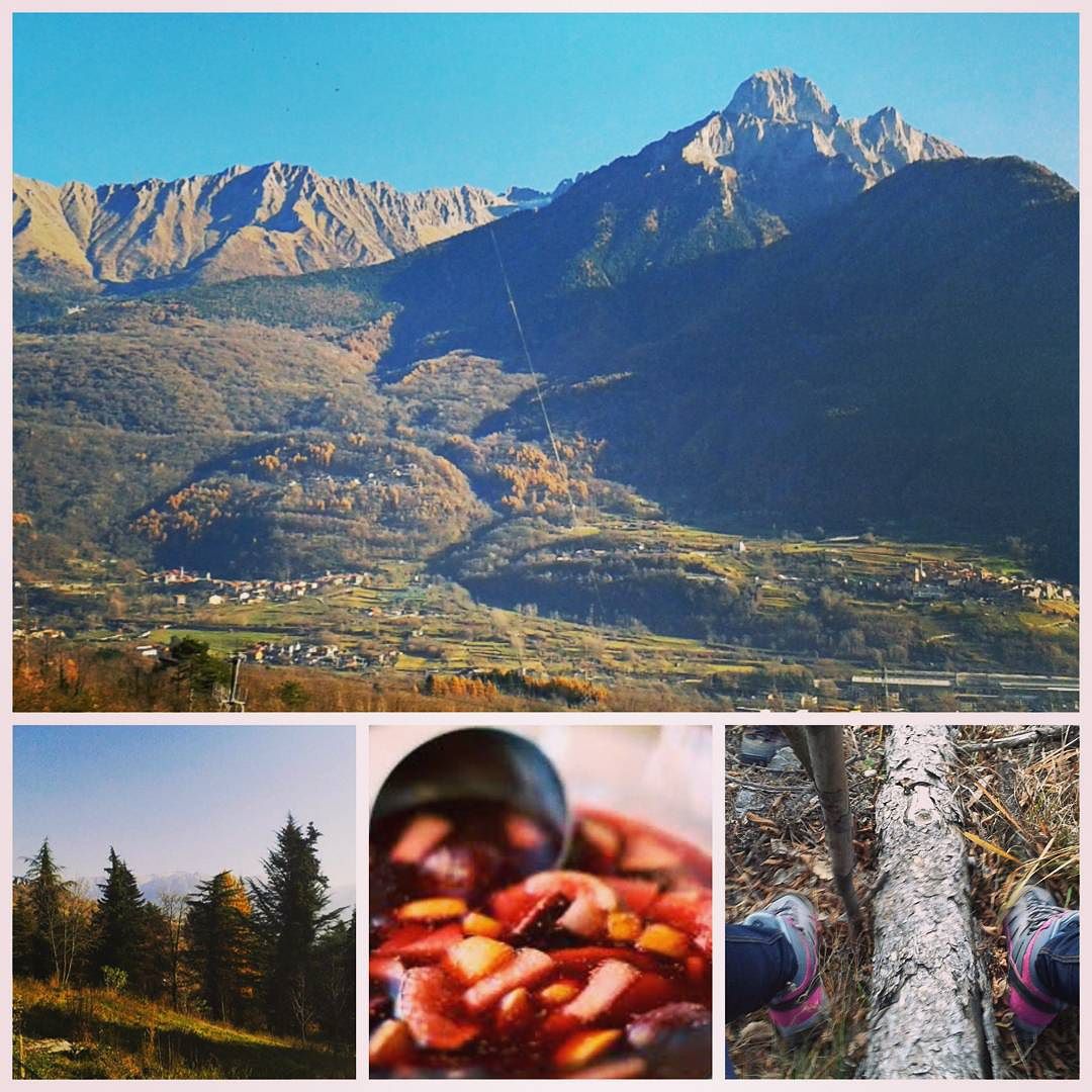 Legna e sangria🌲🍷🗻 #valcamonica #spettacolo #friends #ignoranza #anche #in #montagna #breno #brescia #cerveno #panorama #mozzafiato #landscape #sangria #bosco #legna #wood #snow #allegria #tantolove #trekking #sport #trees #wildlife #nature #green #naturelovers