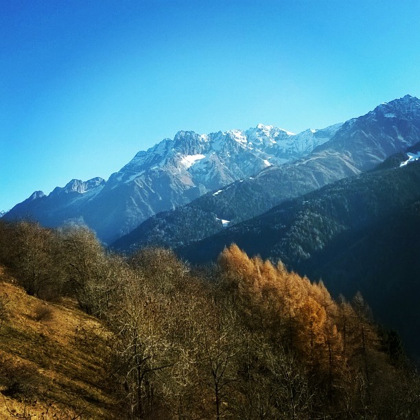 #canè#valcamonica#pontedilegno#passeggiata#montagna#mountain#mountainlovers#mountain_landscape#nature_landscape#naturelovers#landscape#autumn2015#adamello#lombardia