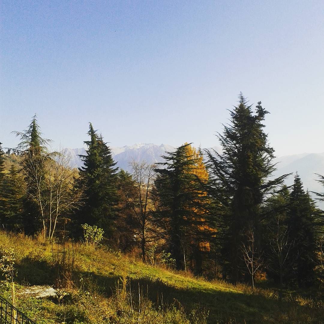 Un po di meritato relax 🌲🌄 #Borno #Brescia #Valcamonica #Pota #ignoranzaagrappoli #nature #vsc #vsam #instagramz #days #sun #green #skyblue #cloudporn #icloud #weekendlungo #stopwork #pause #mountain #nofilters #pino #filip #abeteabate #villeggiatura