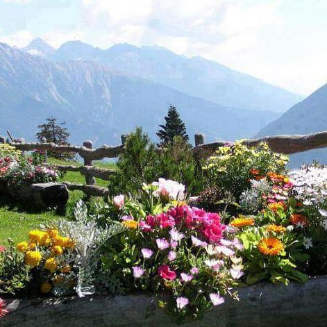 Ricordi#estate#baita#Gario##vivalevallecamonica#vallecamonica#valledeisegni#camonicavalley La vita e’ un eco: cio’ che tu doni,ti ritorna….cio’ che tu semini,lo raccogli….cio’ che tu dai,lo ricevi…..e quello che vedi negli altri,esiste in te… .Madre Teresa Di Calcutta