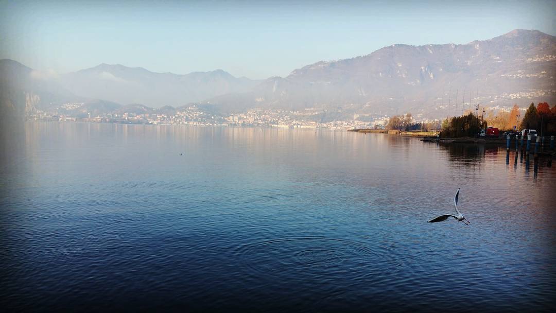 Road trip #domenica#sunday#goodmorning#dicembre#december#gita#trip#papi#valcamonica#place#lago#lake#beautiful#nature#capture#photo#sorprese#mamy#love#picoftheday#instalove#instagood#instaphoto#instasunday#instabreakfast#instapic
