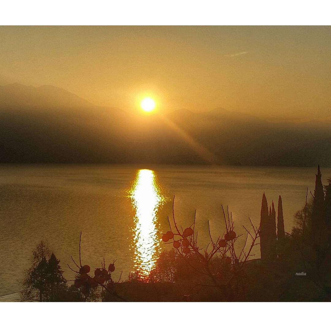 Sunrise#iseolake #ig_worldclub #inLombardia #ig_europe #vivolombardia #visititalia #natura_love #volgolombardia#vivobergamo #volgobrescia #volgobergamo#instaamici #igersmood #bestitaliapics #bestlombardiapics #italialaghi #ig_great_shots #top_italia_photo #top_lombardia_photo#exclusive_mobile#loves_united_lombardia #lory_alpha #Great_Captures_Italia #hdr_captures #igersitalia #loves_lombardia #lombardia_super_pics#kings_birds #vallecamonica #visitlakeiseo