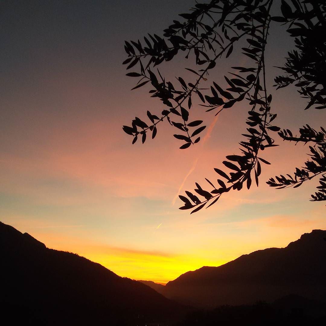 #italy #italien #norditaly #italianalps #alps #bienno #lombardy #sunset #tramonto #lombardy #lombardia #lombardei #italia #italie #autunno #myhome #mygarden #autumn #december #dicembre #valcamonica #alpen #landscape #istantgood #istanfine #followme #sky #likesforlikes #sera #evening #friday