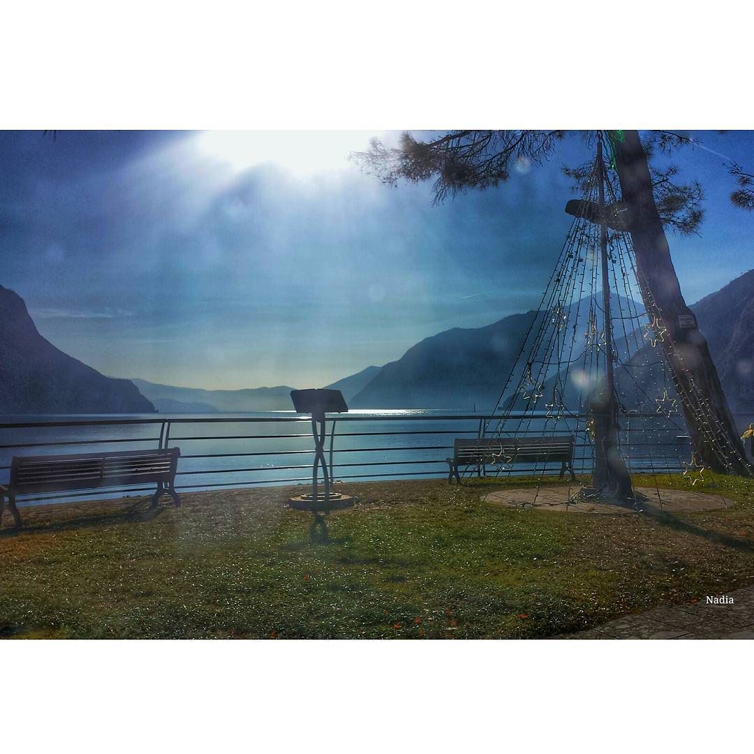Castro albero di Natale#iseolake #ig_worldclub #inLombardia #ig_europe # #vivolombardia #visititalia #natura_love #volgolombardia#vivobergamo #volgobrescia #volgobergamo#instaamici #igersmood #bestitaliapics #bestlombardiapics #italialaghi #ig_great_shots #top_italia_photo #top_lombardia_photo#exclusive_mobile#loves_united_lombardia #lory_alpha #Great_Captures_Italia #hdr_captures #igersitalia #loves_lombardia #lombardia_super_pics#kings_birds #vallecamonica #visitlakeiseo