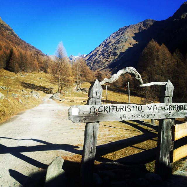 #montagna #mountain #lombardia #brescia#autunno2015 #autunnonelparco #valledeisegni #vallecamonica #valgrande #lombardia #parcoadamello #pontedilegno #natura #trekking #vezza