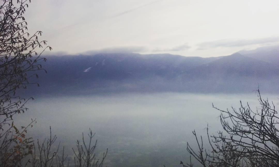 #camorelli#valcamonica#nebbia#mattinatainmontagna#ptopdai#cazzogrossotantappelle#nature#landcape#goodtime
