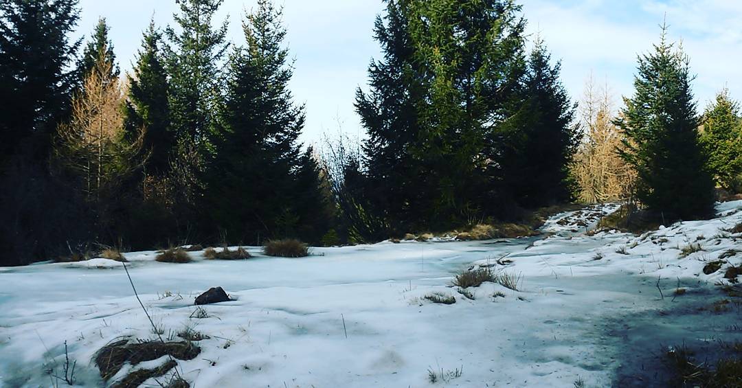 #pocoghiaccio#ulda#trekking#valsaviore#valcamonica#parcoadamello❄❤👍❤💪