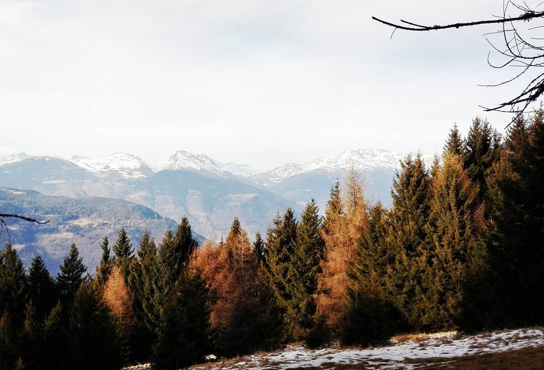 #ulda#trekking#mountains#valsaviore#valcamonica#parcoadamello#lovemountains ❤❄❄❤❤