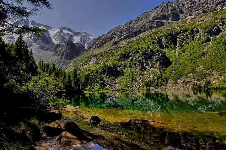 #lagoaviolo #lake #alpinelake #reflex #nikon #nikontop #nikonphotography #picoftheday #photooftheday #colors #summer #trekking #adamello #pontedilegno #valcamonica #italyiloveyou #mountains #sunny #snow #water #smeraldo #italy #sentieribresciani