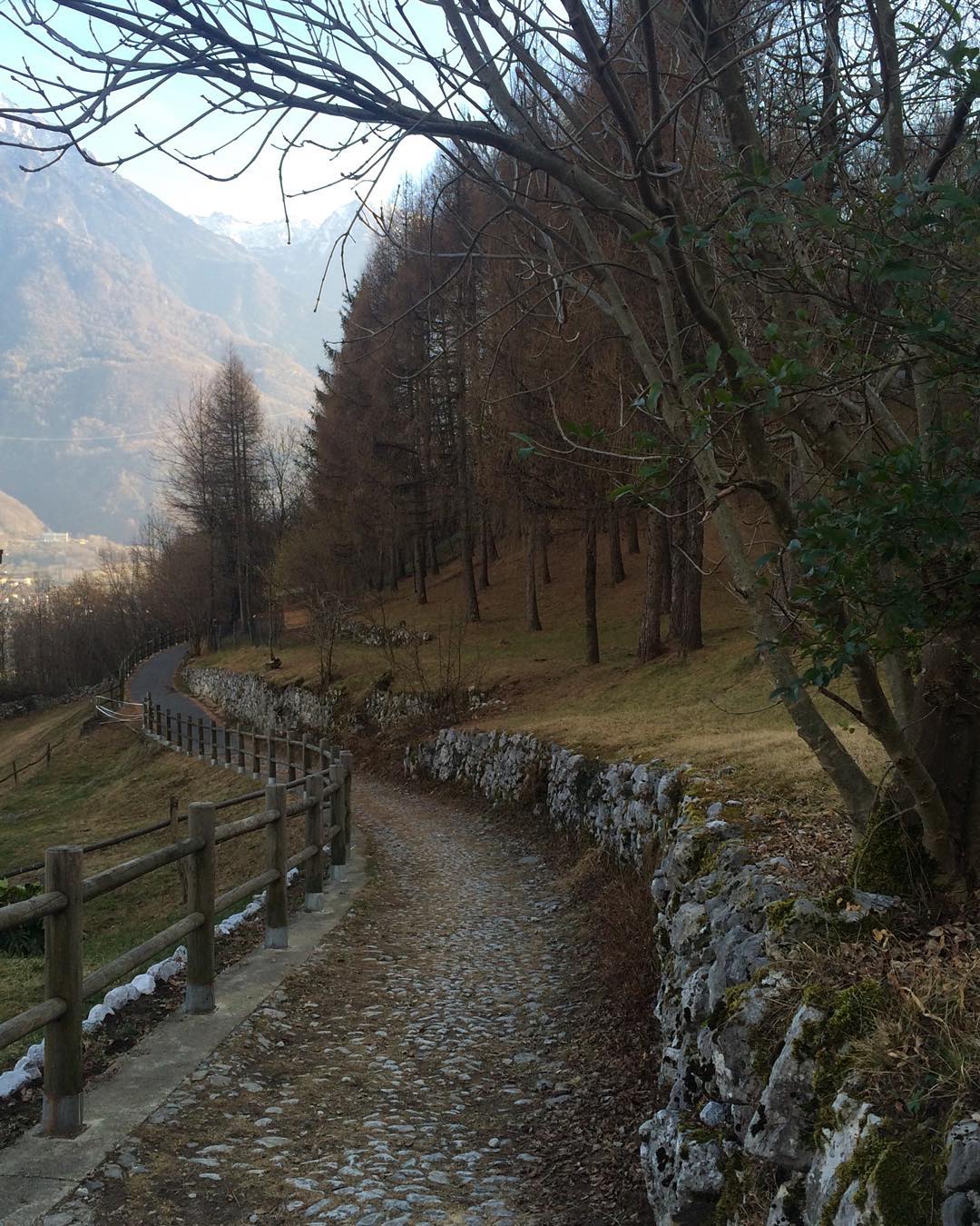🌲🌿👫❤️🍃 #trees #onosanpietro #path #stroll #sun #sky #mountains #vallecamonica #instanature #skylovers #nature #skyporn #place #view #igersitalia #italy #top_lombardia_photo #landscape #naturelovers #natureporn #instaitalia #amazing #shot #likeforlike #likeback #january #love #sunday #sundayfunday #weekend