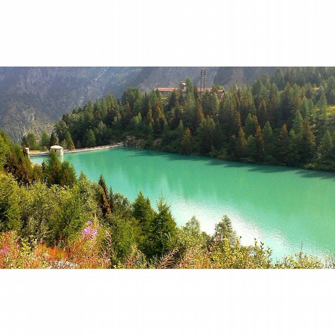 Laghetto d’Avio – Val d’Avio – Parco dell’Adamello – Lombardia #vallecamonica #valcamonica #adamello #parcoadamello #lombardia #nature #naturaleza #natura #montaña #mountain #montagna #lake #lago #escursionismo #trekking #senderismo #hiking #walking #panorama #paesaggio #paisaje #landscape #alpi #alps #colores #colours #colori #trees