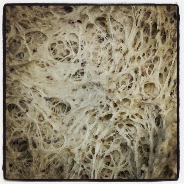 Buongiorno! Stamattina abbiamo stagliato questa ottima pasta alla canapa! #pizzcamì #pizza #pizzalover #pizzagram #pizzamake #instapizza #impasto #dough #canapa #borno #vallecamonica #valledeisegni #brescia #altopianodelsole #camonicavalley