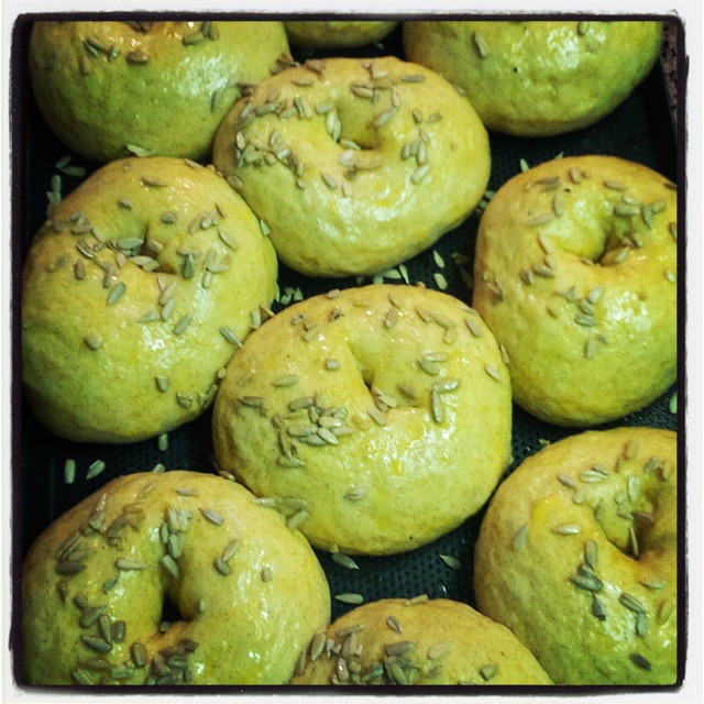 The Bagels Experiment! #pizzcamì #bagel #bagels #experiment #pizzcamì2016 #news #foodporn #foodgasm #foodies #instafood #photooftheday #igdaily #instamood #bestoftheday #borno #vallecamonica #valledeisegni #brescia #altopianodelsole #camonicavalley