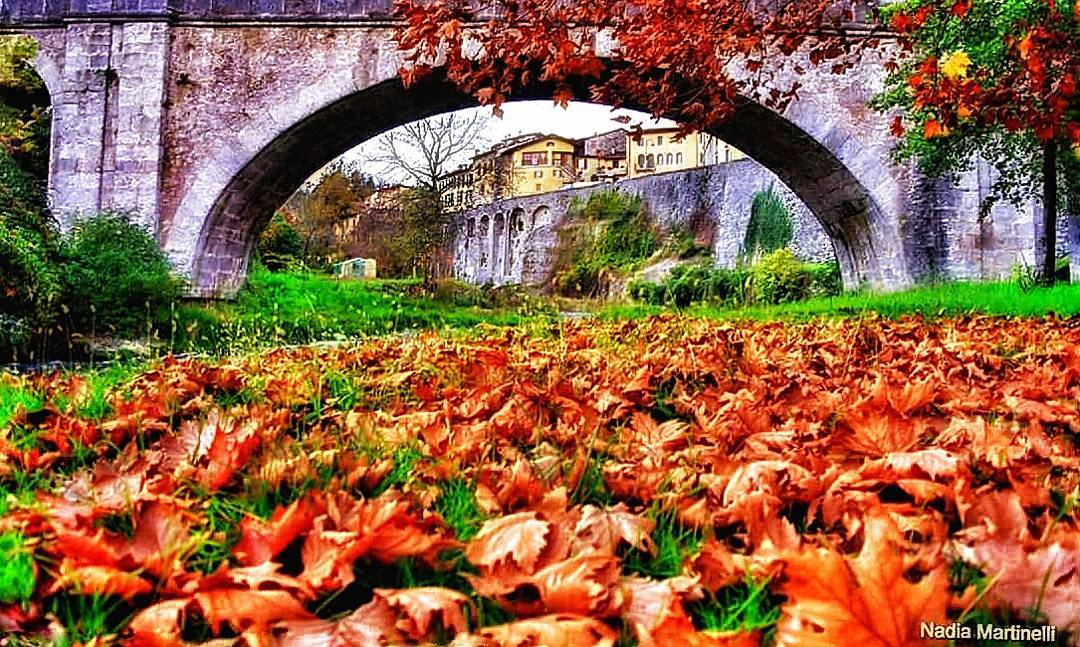 Ponte #inLombardia #igers_lombardia #vivolombardia #visititalia #natura_love #volgolombardia#vivobergamo #volgobrescia #volgobergamo#instaamici #igersmood #bestitaliapics #bestlombardiapics #italialaghi #ig_great_shots #top_italia_photo #top_lombardia_photo#exclusive_mobile#volgoitalia #Great_Captures_Italia#italia_inunoscatto #hdr_captures #igersitalia #loves_lombardia #share_your_landscape #loves_landscape #lombardia_super_pics#loves_bergamo #vallecamonica #visitlakeiseo