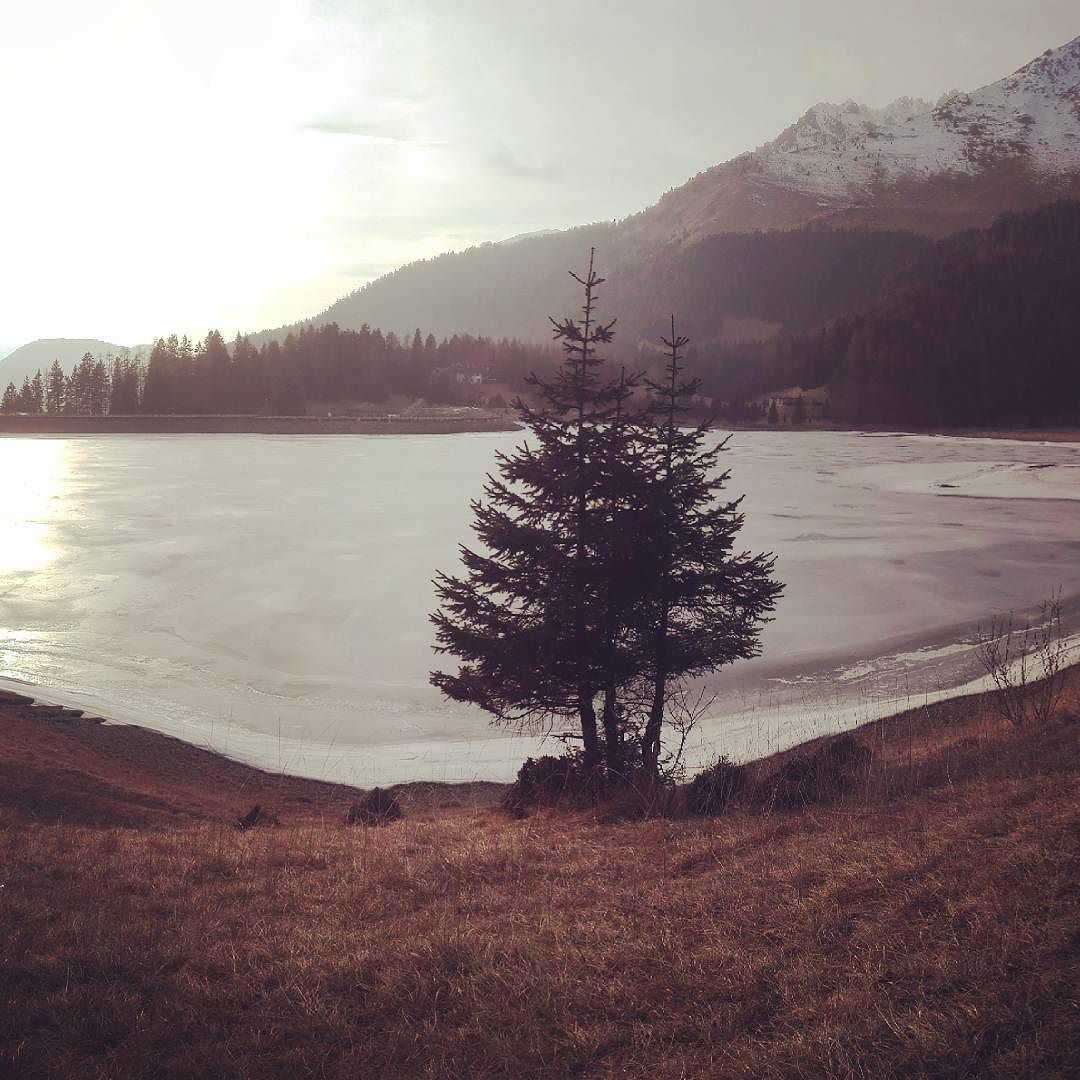 #lagodilova #borno #vallecamonica #valledeisegni #beautifulday #homesweethome #peace #tranquility #nature #lake #frozen