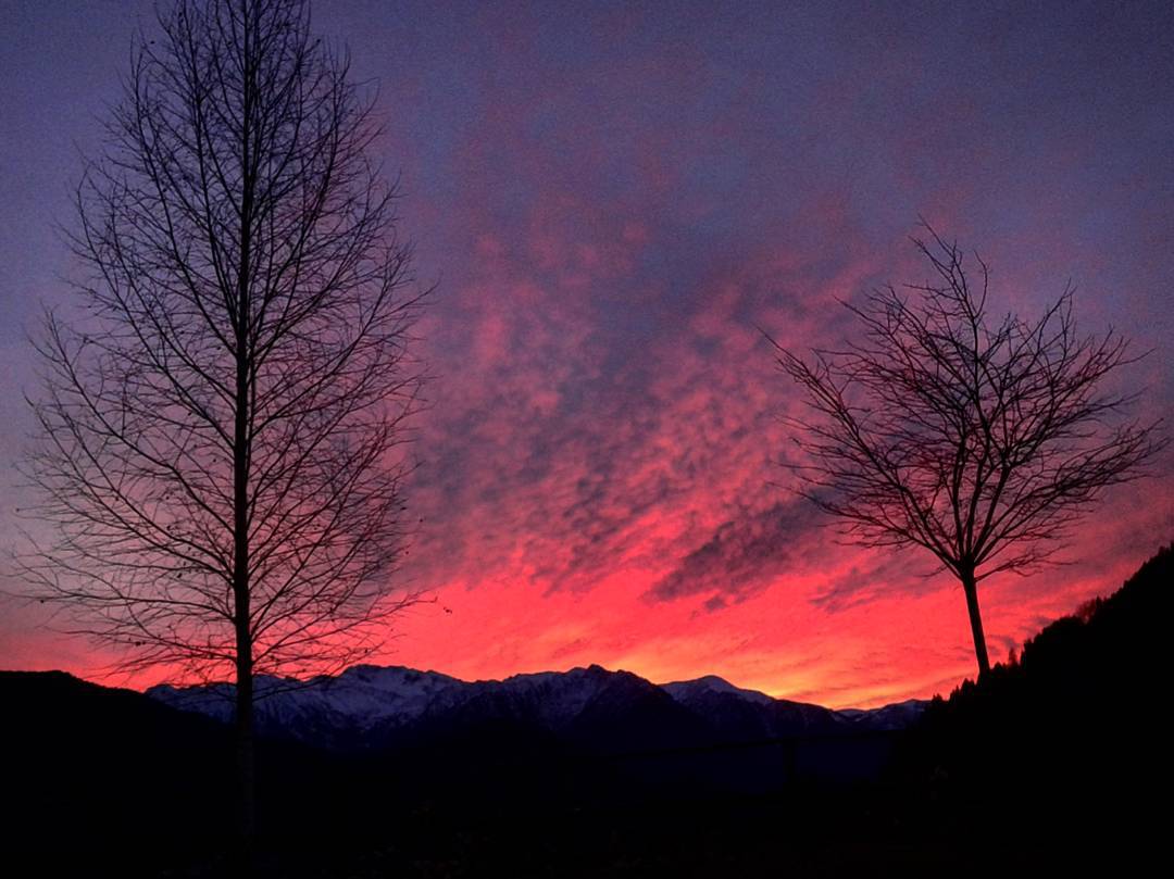 #today#morning#up#tree#red#sun#instapic#cloud#twilight#vallecamonica