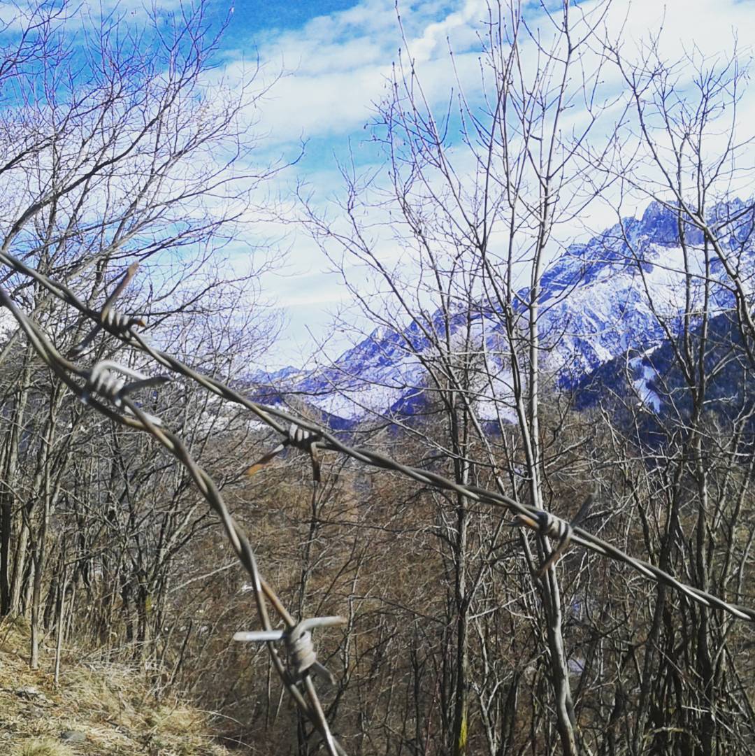 AltaVallecamonica#passeggiata#filo#spinato#per#ricordare#……..Vivalavallecamonica#Vallecamonica#Valledeisegni#Camonicavalley Si puo’ competere con l’intelligenza,mai con la stupidita’….L’intelligenza ascolta…capisce….e…anche se non condivide….Accetta.La stupidita’ dimena nell’EGO,pretende ragione…e…non guarda oltre cio’ che vede la sua…Convinzione…