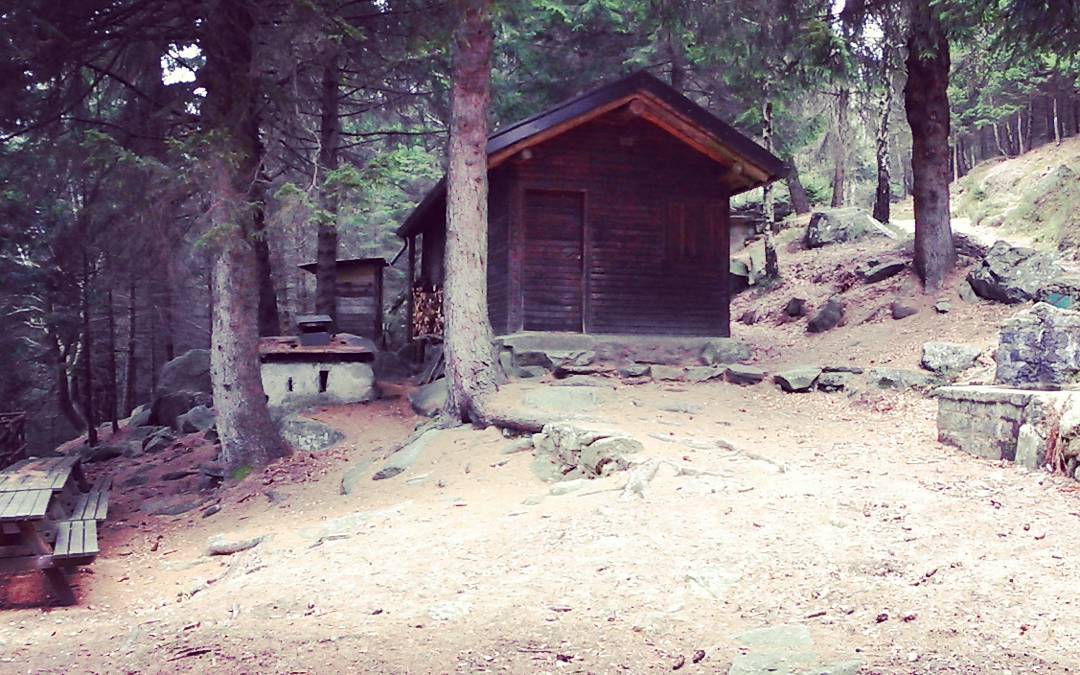 #casettadeiluf#lupi#loa#parcoadamello#trekking#mountains#valsaviore#valcamonica ❤💪