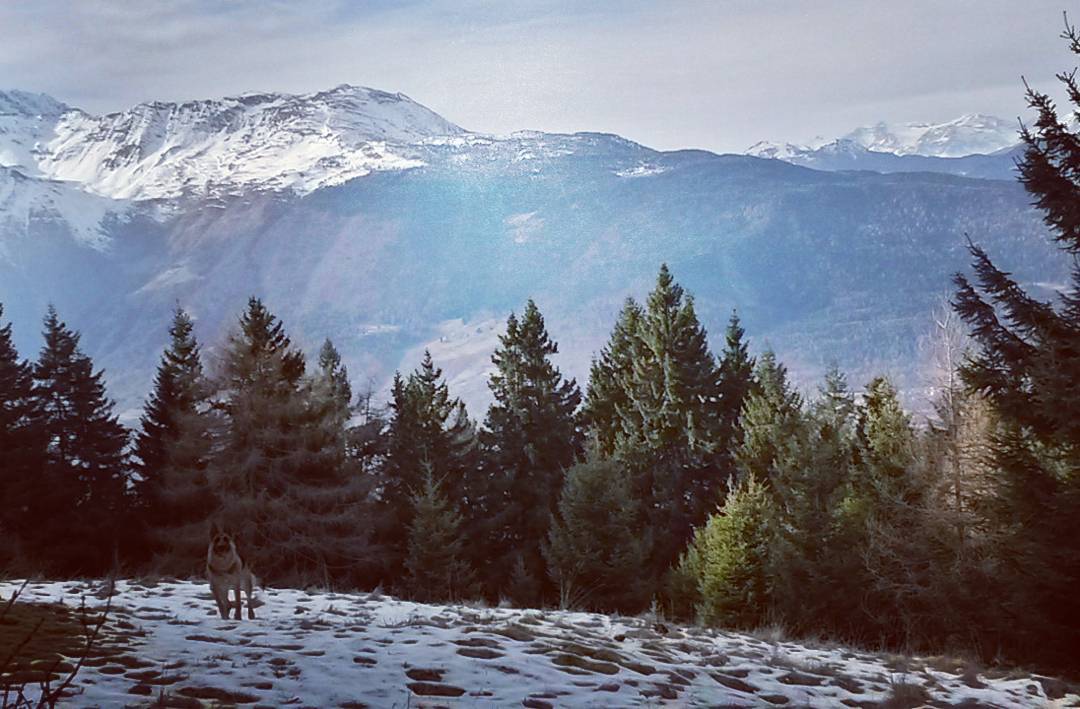 #trekking#moutains#ulda#ghiaccio##pocaneve#parcoadamello#vallecamonica#valsaviore#lovemountains ❤💪