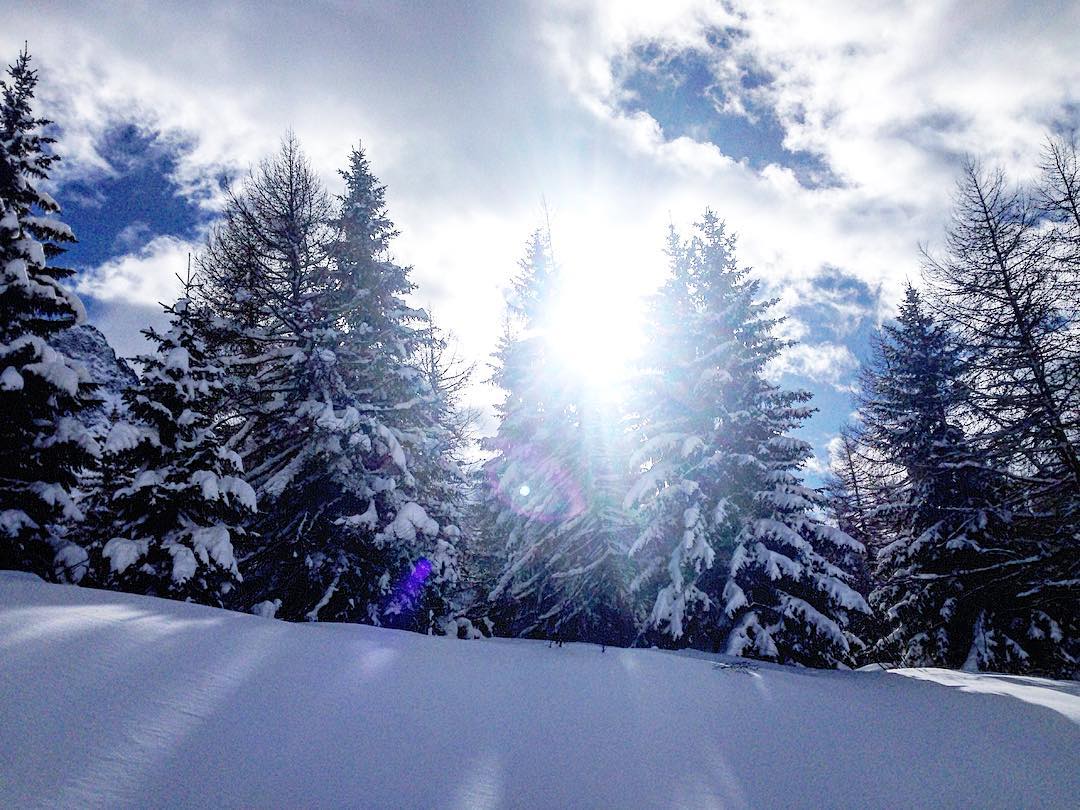 Finalmente….ora sì che si ragiona… @scuolascipontedilegno #PONTEDILEGNOSKISCHOOL #pontedilegno #tonale #neve #montagna #bianco #alberi #ski #sci #skiiscool #sole #adamelloski #lavalledeisegni #vallecamonica #lombardia #italia #italy #passodeltonale #powder