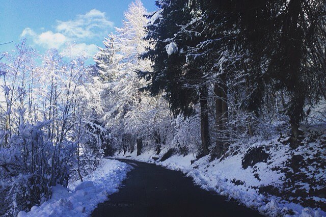 •WALK ON THE WILD SIDE• 🗻❄️⛄️🌲🎿💕#february #winter #afternoon #escape #pontagna #pontedilegno #passodeltonale #valcamonica #mountain #snow #trees #street #nature #landscape #paradise #peace #happiness #love #lovely #photooftheday #tbt #instadaily #igers #pretty #ski #skier #snowflake #cold #fun