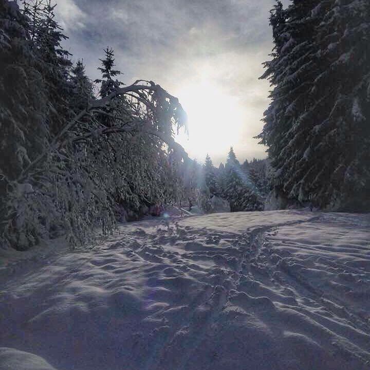 Borno#altopianodelsole#vallecamonica#lavalledeisegni#vivobrescia#neve#snow#amazing