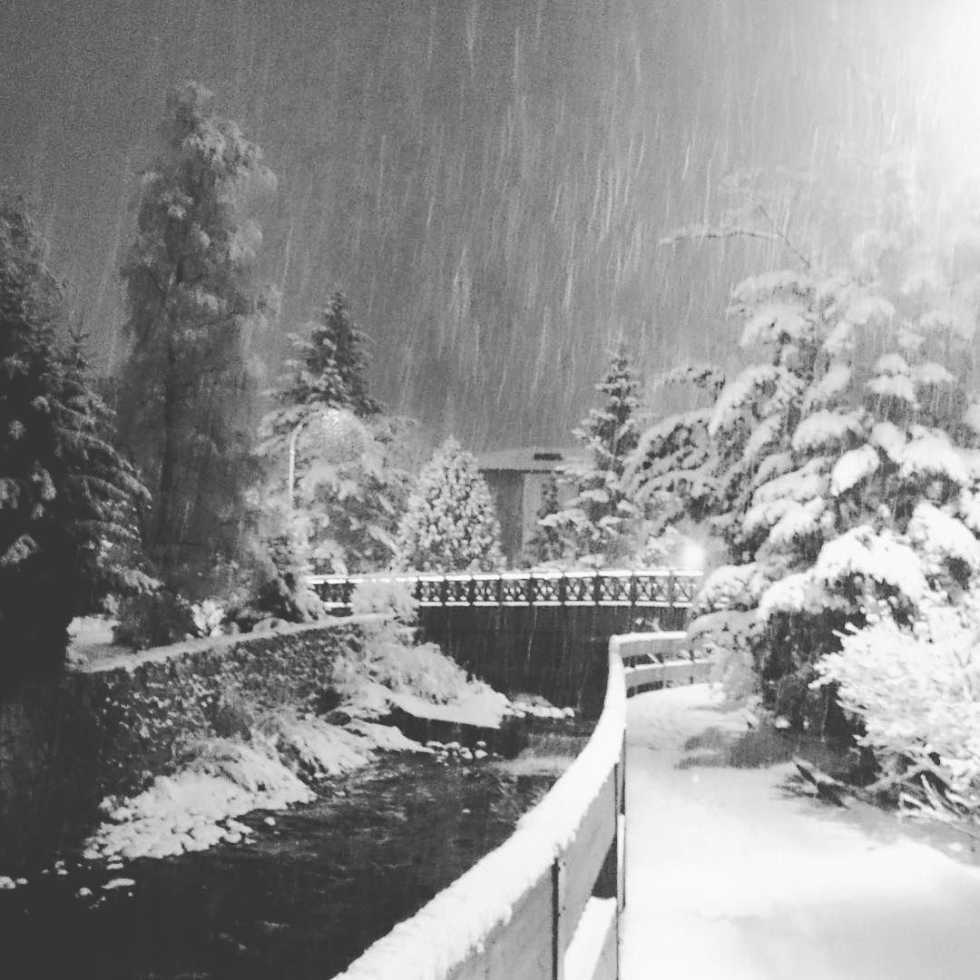 “Sembra tutto pulito sembra tutto più chiaro tutto quanto più morbido senza più spigoli da arrotondare i progetti divini il destino e la sfiga fatti solo vicina che tanto le neve lei se ne frega” L.L. ❄🌠❄ #snow #night #ligabue