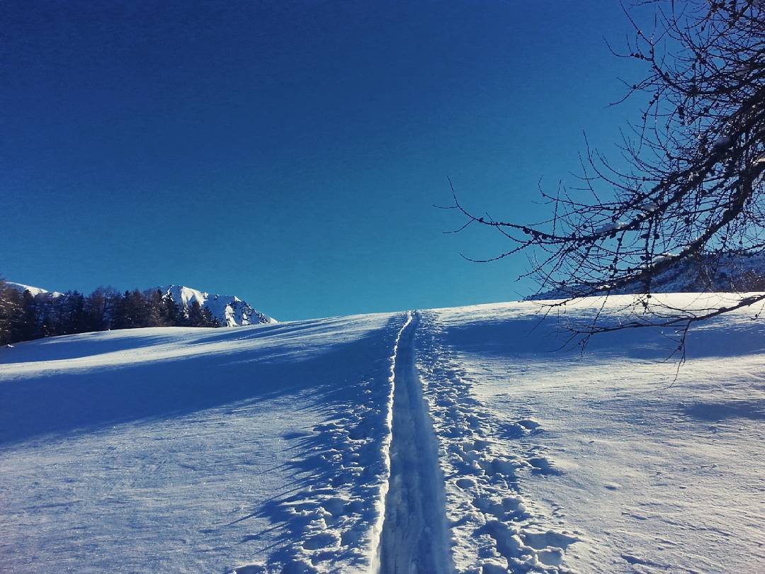 #skialp #campolaro #varicla #montagnecamune #montagnedicasa #vallecamonica #parcoadamello #winter #snow #sun #blizzardski