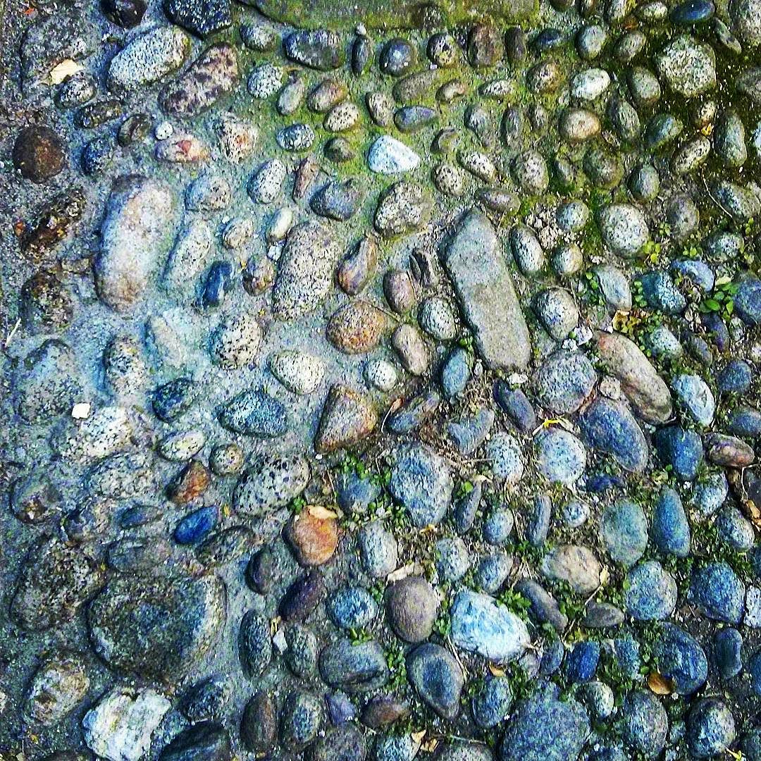 #dettagli #details #pietra #stone #strada #borghitalia #breno #vallecamonica #valledeisegni #brescia #Italia #italy #lombardia #lombardia_super_pics #volgoitalia #volgobrescia #igers #igersvalcamonica #loves_united_brescia #walking #best #igers #instagramers #instagram #insta #top #life #vita #gioia #wow