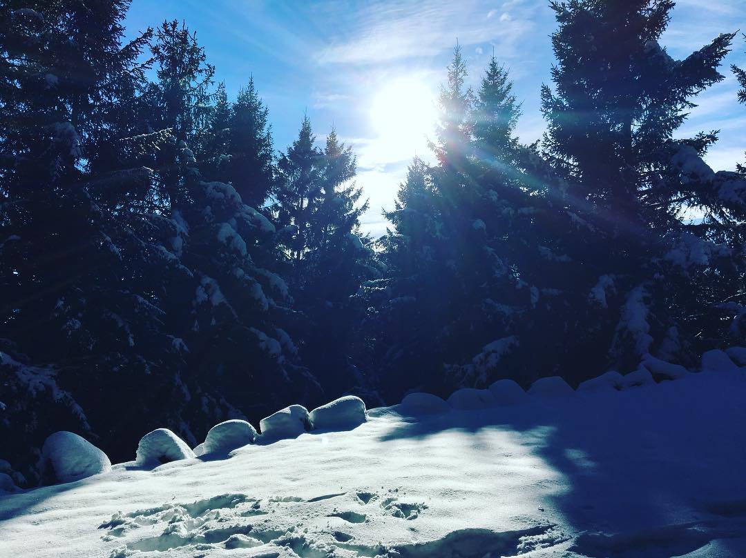 #rifugiopalampale#neve#mountains#trekking#volgolombardia#rifugilombardia #valsaviore #vallecamonica #instanature #bestmountainartists #parcoadamello#volgobrescia ❤️❄️💪🏼🔝