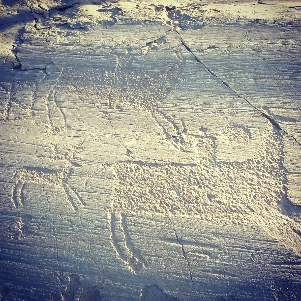#valcamonica #Lavalledeisegni #proud #incisioni #pitoti #fascinoemistero