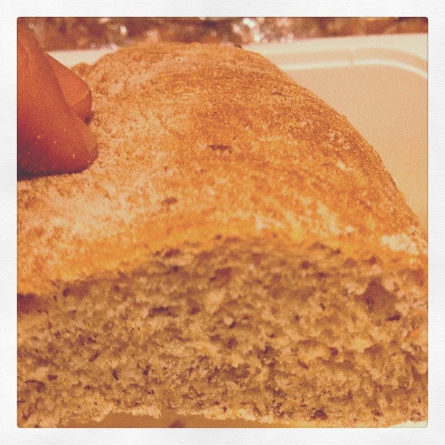 Esperimenti.. Pane al farro e grano saraceno con lievito madre e germe di grano.. #pizzcamì #pane #bread #farro #granosaraceno #alveoli #alveolatura #fdp #figlidipastamadre #figlidipastamadreviva #borno #vallecamonica #valledeisegni #brescia #altopianodelsole #camonicavalley