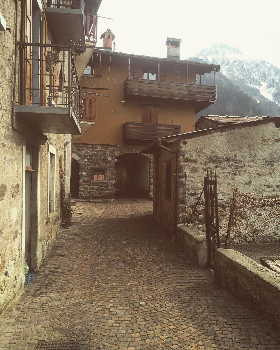 Domeniche alternative 🏔🐗🌲❄️ #dayoff #schilpario #valcamonica #nevedovesei #mangiarecomemaiali #cinghiale #paesaggio #nature #picture #bestoftheday #photooftheday #picoftheday #instagood #instadaily