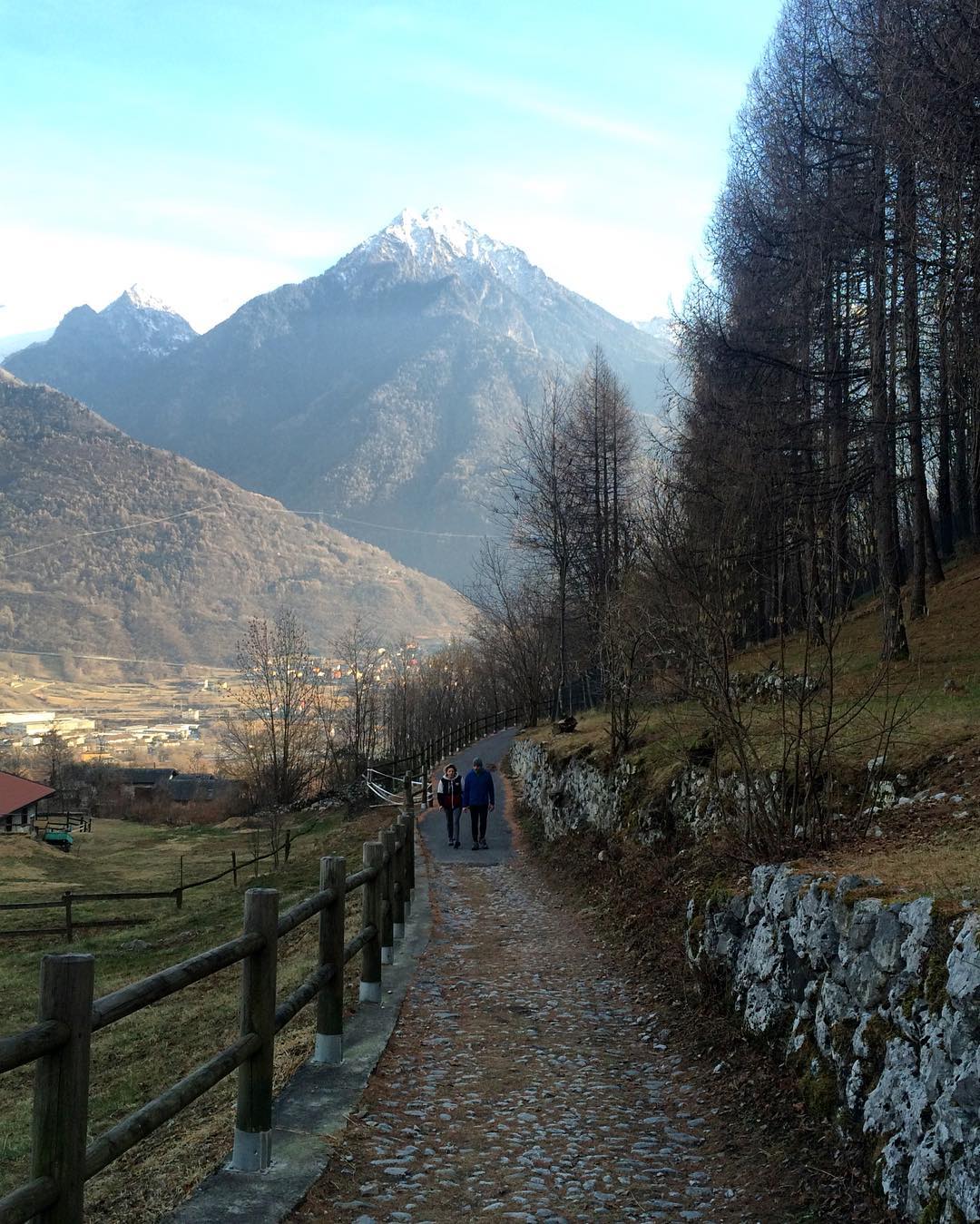 🏔🌲🌿👫❤️🍃 #trees #onosanpietro #path #stroll #sun #sky #mountains #vallecamonica #instanature #skylovers #nature #skyporn #place #view #igersitalia #italy #top_lombardia_photo #landscape #naturelovers #natureporn #instaitalia #amazing #shot #likeforlike #likeback #winter #cold