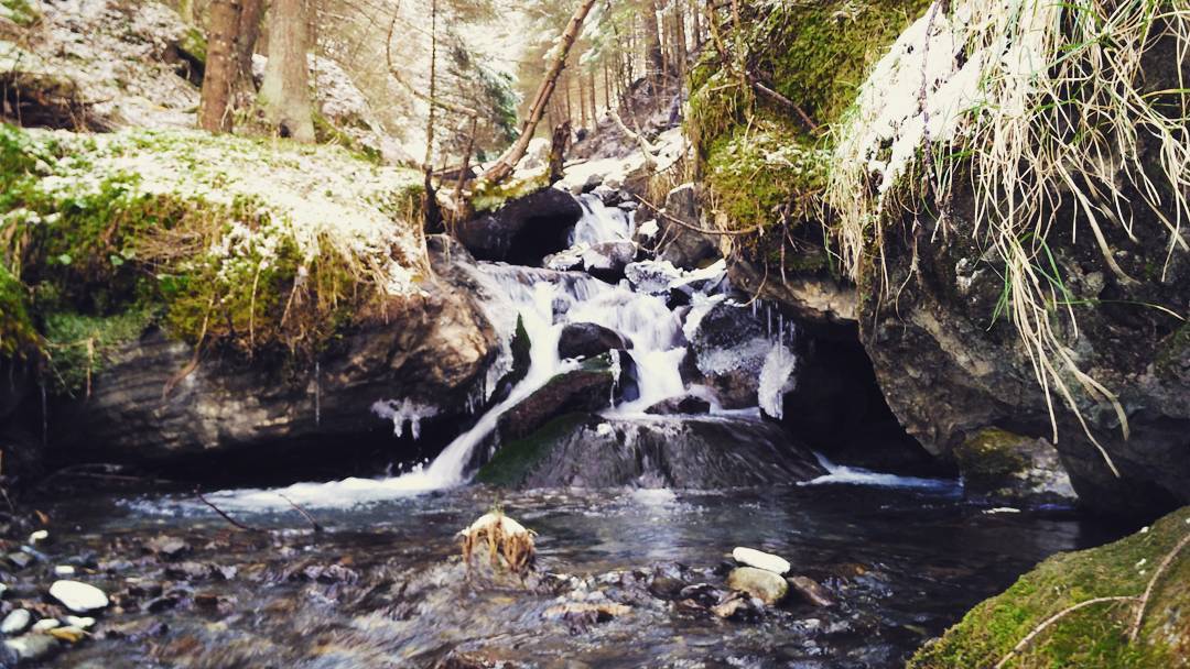 #woods #forest #water #naturelovers #nature #outdoors #hiking #vallecamonica #meditation #woods #natgeotravel #natgeo #wanderlust #vscocam #vsco #river #natura #wild