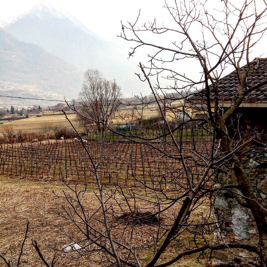 #capodiponte #cemmo #vallecamonica #landscape #winter #february #febbraio #febbraio2015