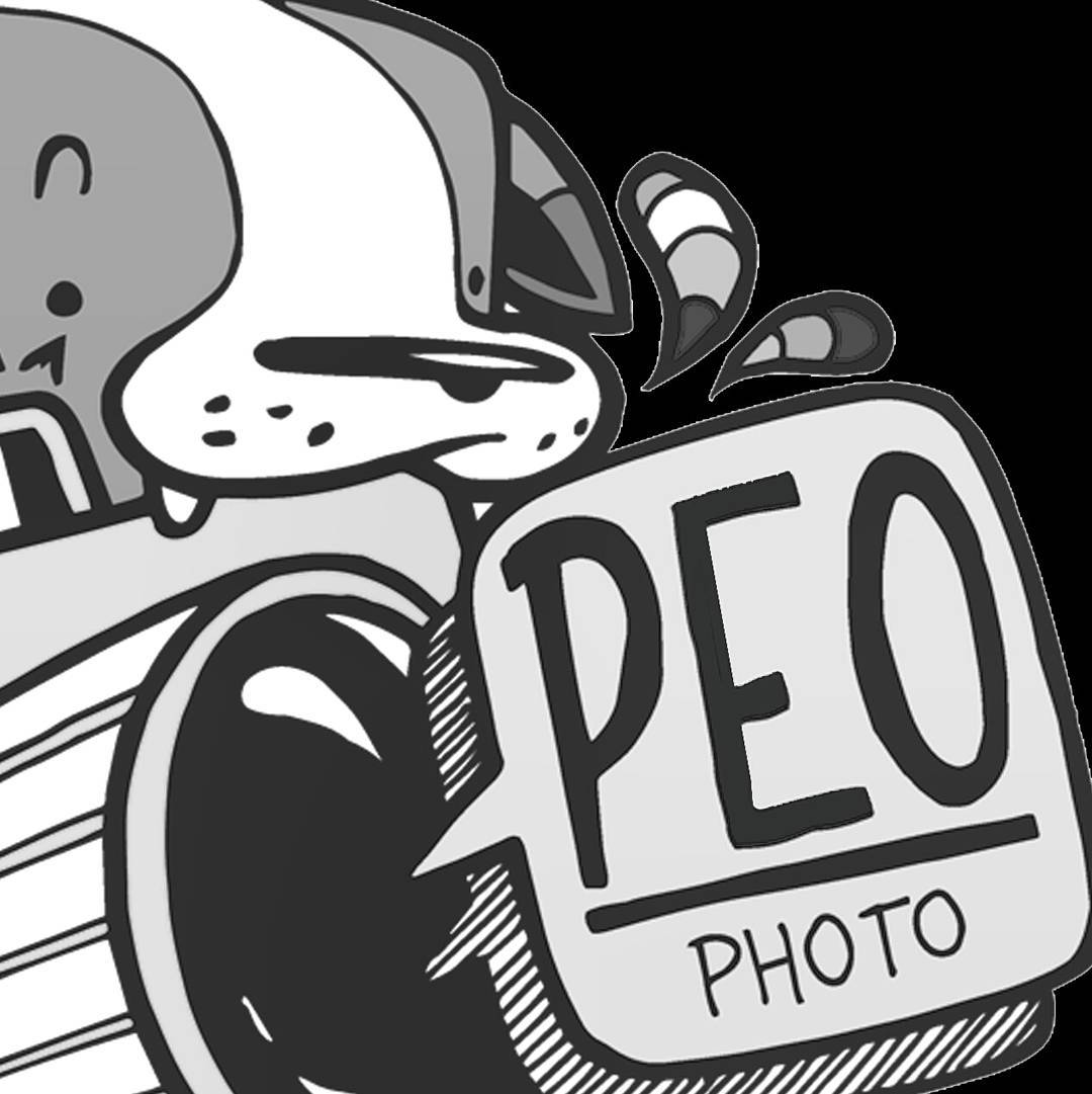GNAAAAAM #peophoto #blackandwhite #biancoenero #logo #cartoon #cartoons #vallecamonica #Pisogne #reflex #camera #octoflyart #supportyourlocalartists